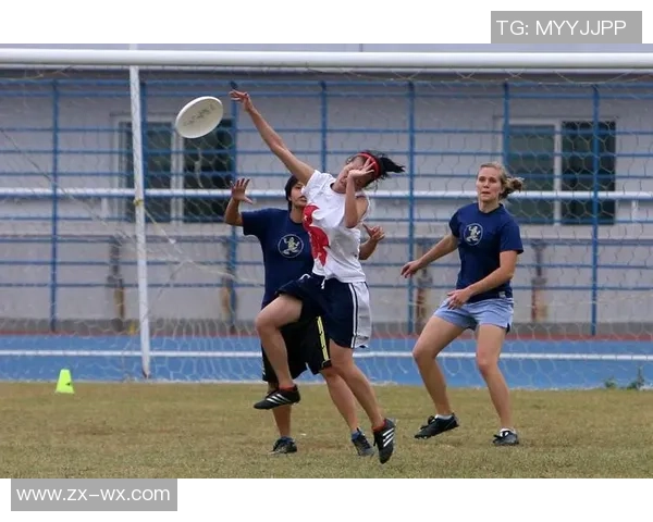飞盘竞技的魅力：深入武汉飞盘队的团队协作与精神探讨
